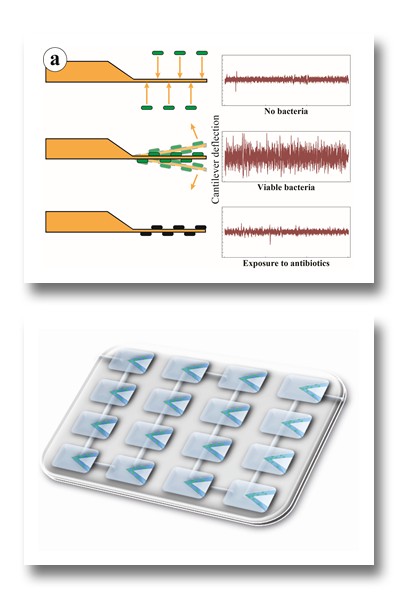 Nanomechanical sensors for biomedical applications