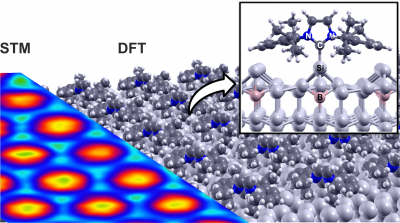 Small carbene molecules attach to silicon adatoms on a passivated Si(111) surface, forming an ordered molecular layer