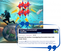 Beneath the Surface: Investigating Perovskite SolarCells Under Water