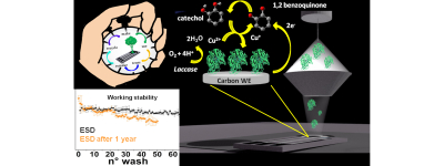 Fabrication of a New, Low-Cost, and Environment-Friendly Laccase-Based Biosensor by Electrospray Immobilization with Unprecedented Reuse and Storage Performances