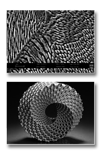 Additive-Manufacturing of metals