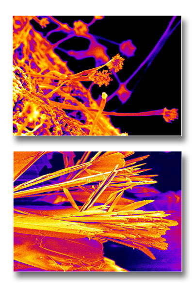 Biomaterials for Tissue and Genetic Engineering 