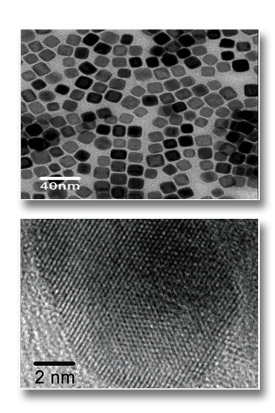 Magnetic Nanoparticles