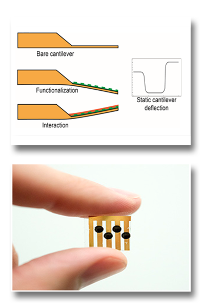 Nanomechanical sensors for environmental and food safety