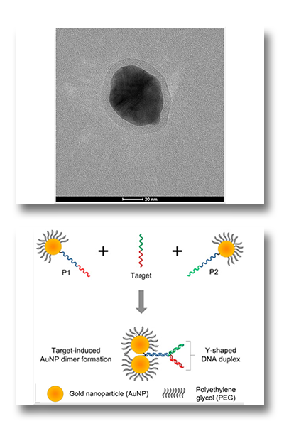 Nanoparticelle per la sensoristica