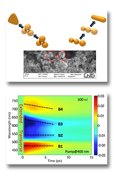 Nanofabrication, Thermoplasmonics and Ultrafast Laser