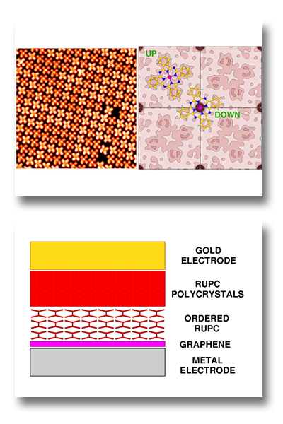 Organic Electronics Nanoarchitectures