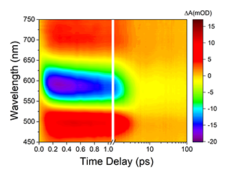 Spettrometria di assorbimento/riflettività transiente in UV/Vis/NIR