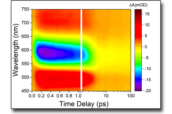 Spettrometria di assorbimento/riflettività transiente in UV/Vis/NIR