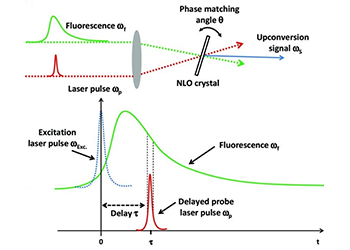 Fluorescence up-conversion