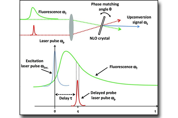 Fluorescence up-conversion