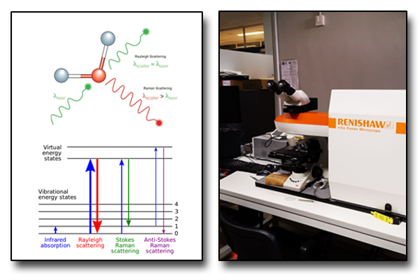 Raman and micro-Raman spectroscopy