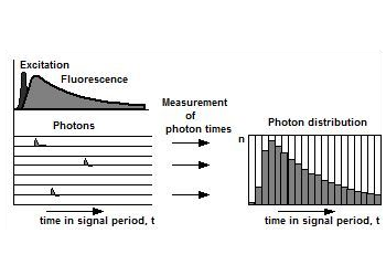 Spettroscopia Time-Correlated Single-Photon Counting (TCSPC)