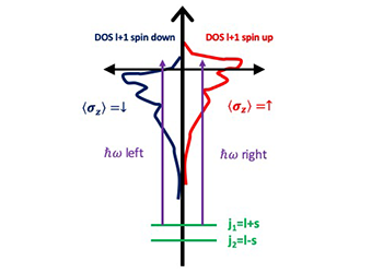 X-ray magnetic circular dichroism (XMCD)