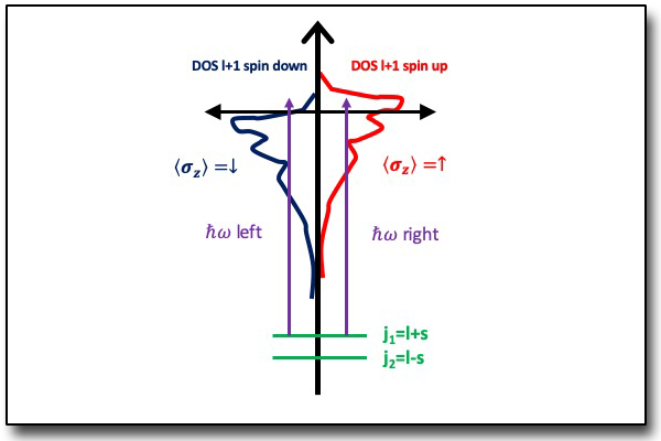 X-ray magnetic circular dichroism