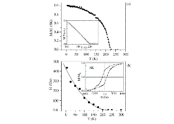 SQUID Magnetometry