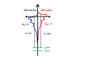 Dicroismo circolare magnetico a raggi X 