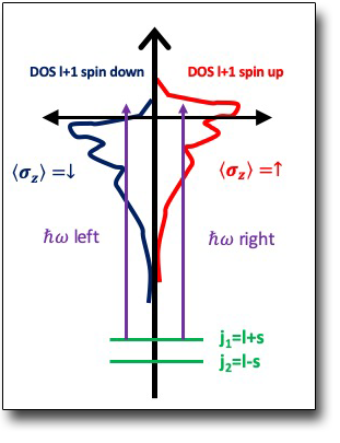 X-ray magnetic circular dichroism (XMCD)