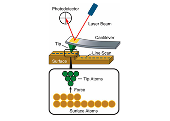 Atomic force microscopy (AFM)