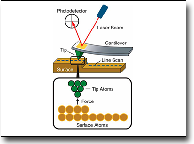 Atomic force microscopy (AFM)