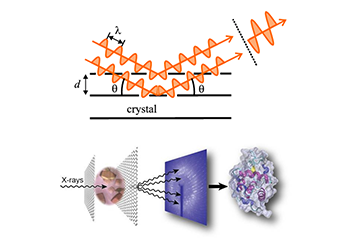 X-Ray diffraction (XRD)