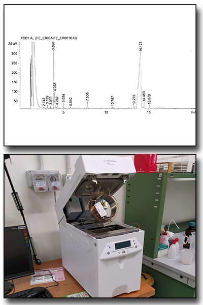 Gas chromatography (GC)