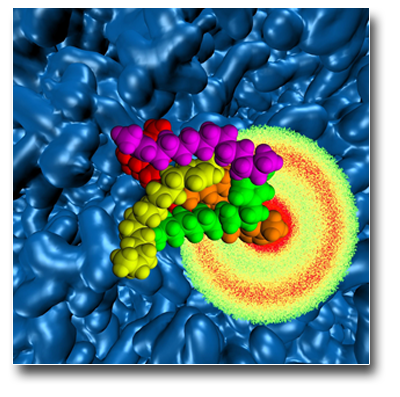 Novel/Advanced Phenomena and Theory