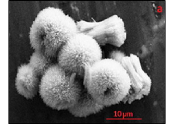 Nanoparticelle, nanocompositi e nanoarchitetture