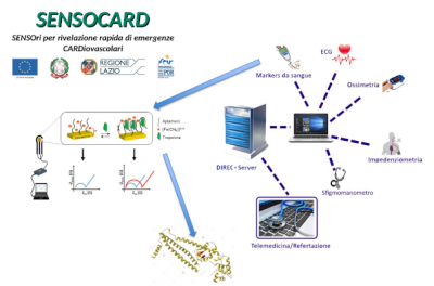 SENSOCARD - SENSOri per rilevazione rapida di emergenze CARDiovascolari