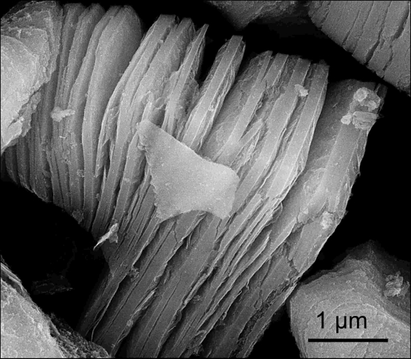 SEM image of MXene