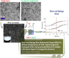 New Exotic Magnetic Phenomena - New article published in Advanced Composites and Hybrid Materials