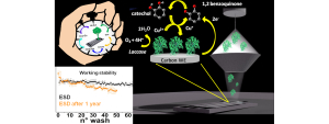 Creati Biosensori Ecosostenibili dalle Performance Senza precedenti