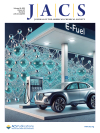 Multiple Reaction Pathways for Oxygen Evolution as a Key Factor for the Catalytic Activity of Nickel−Iron (Oxy)Hydroxides - New Article