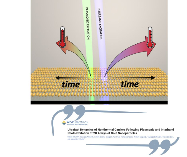 Ultrafast Dynamics of Nonthermal Carriers Following Photoexcitation of palsmonic nanostructure - A new paper