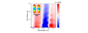 Acoustic Vibration Modes of Gold–Silver Core–Shell Nanoparticles