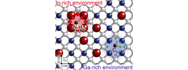 The local environmente plays a key role in determining the effective  concentration of N-H complexes.