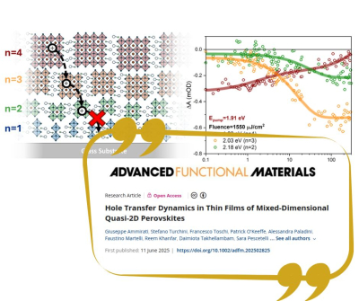 Hole Transfer Dynamics in Thin Films of Mixed-Dimensional Quasi-2D Perovskites - Nuovo articolo