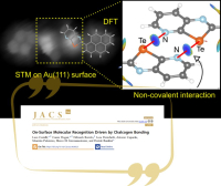 DFT calculations reveal that molecular dimers observed to form on a gold surface are bound by non-covalent chalcogen bonding interactions.