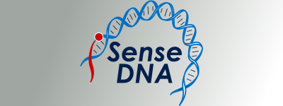iSenseDNA - Sviluppo di nuovi nanotrasduttori di DNA per l'identificazione 'in-vivo' della struttura delle biomolecole