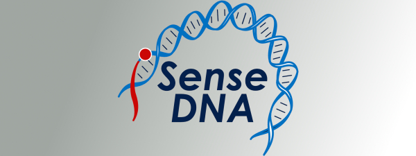 iSenseDNA - Computation driven development of novel vivo-like-DNA-nanotransducers for biomolecules structure identification