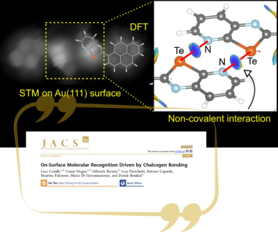 Riconoscimento Molecolare sulla Superficie Guidato dal Legame Calcogeno - Nuovo Articolo